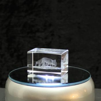 Preview: 3D-Glas-Cube-Fuchs, versch. Größen Preview: 3D-Glas-Cube-Fuchs, versch. Größen